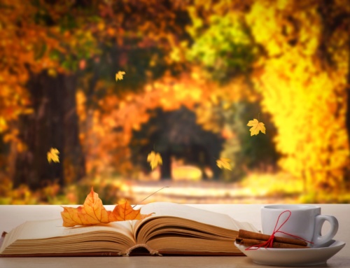 „Herbstlese“ in der Stadtbücherei Schwarzenbek