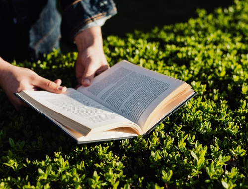 Welttag des Buches in Schwarzenbek